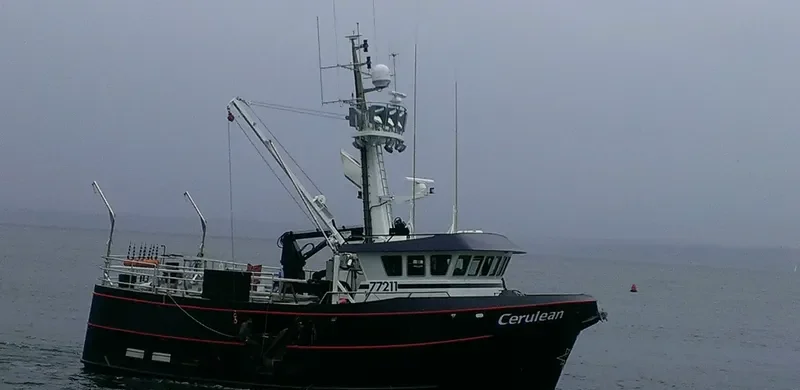 CERULEAN General Cargo IMO 9718480