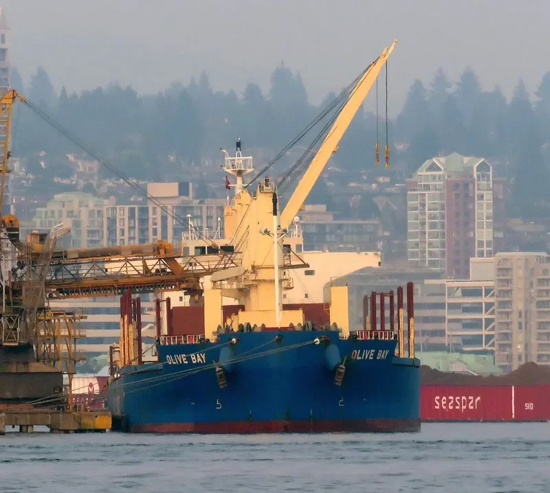 OLIVE BAY Bulk Carrier IMO 9718624