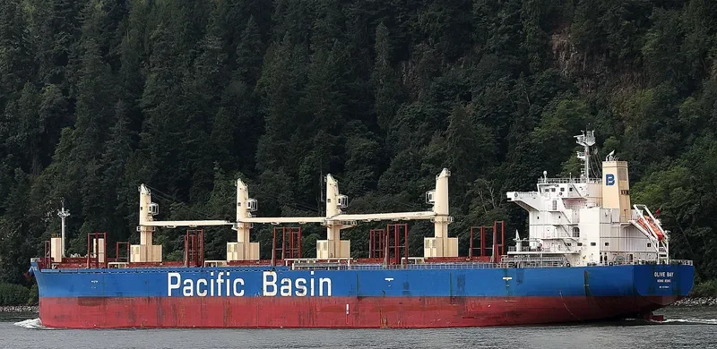 OLIVE BAY Bulk Carrier IMO 9718624 photo 2