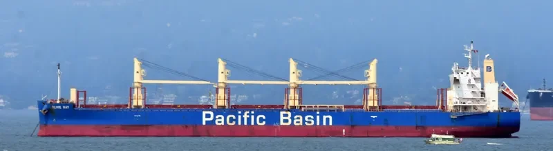 OLIVE BAY Bulk Carrier IMO 9718624 photo 3