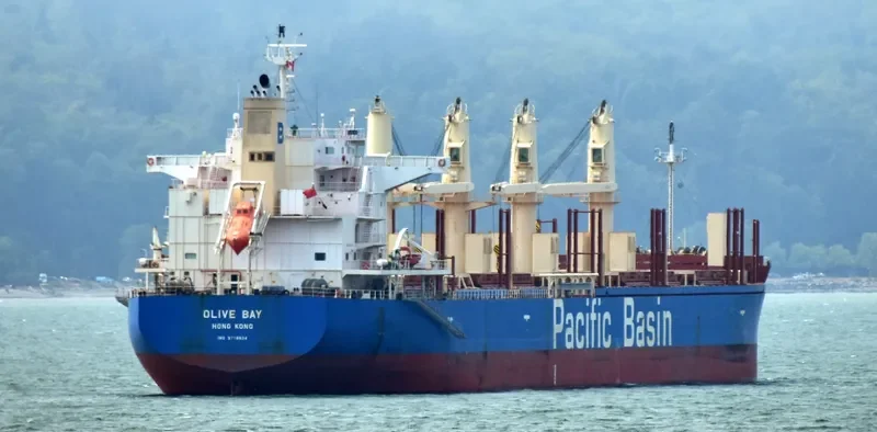 OLIVE BAY Bulk Carrier IMO 9718624 photo 4