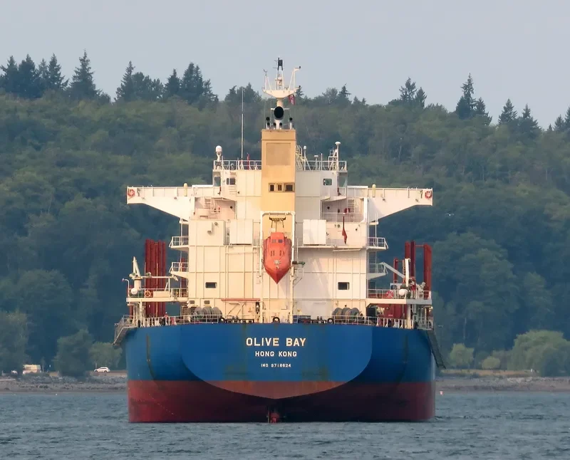 OLIVE BAY Bulk Carrier IMO 9718624 photo 5