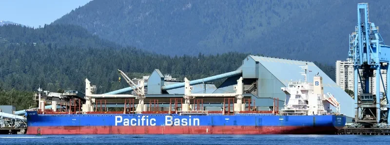 OLIVE BAY Bulk Carrier IMO 9718624 photo 6