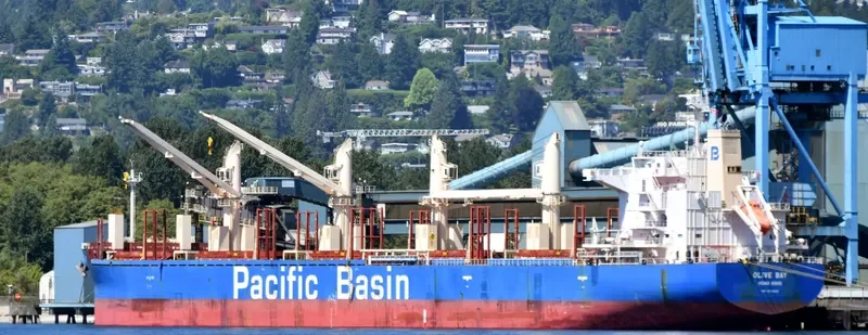 OLIVE BAY Bulk Carrier IMO 9718624 photo 7