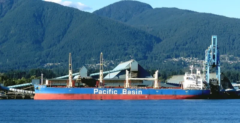 OLIVE BAY Bulk Carrier IMO 9718624 photo 8