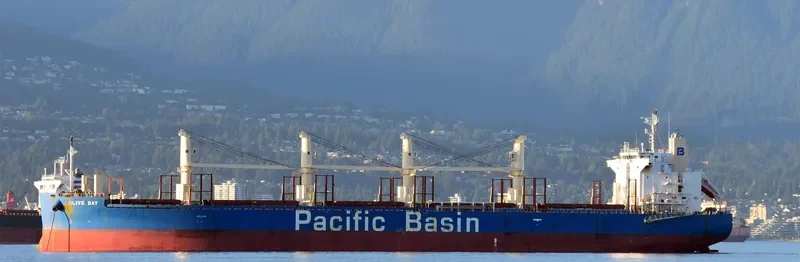 OLIVE BAY Bulk Carrier IMO 9718624 photo 9