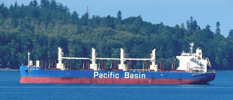 OLIVE BAY Bulk Carrier IMO 9718624 photo 10
