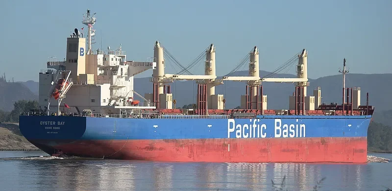 OYSTER BAY Bulk Carrier IMO 9718636