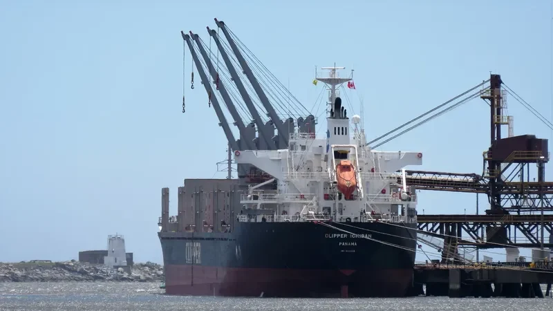 OYSTER BAY Bulk Carrier IMO 9718636 photo 2