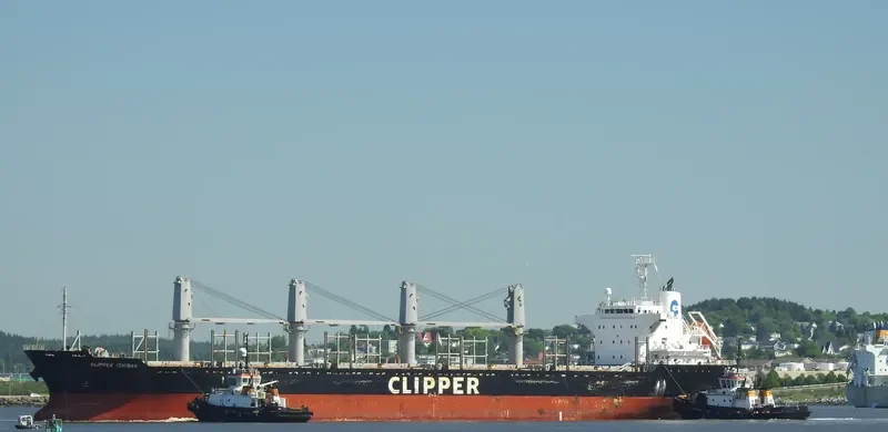 OYSTER BAY Bulk Carrier IMO 9718636 photo 4
