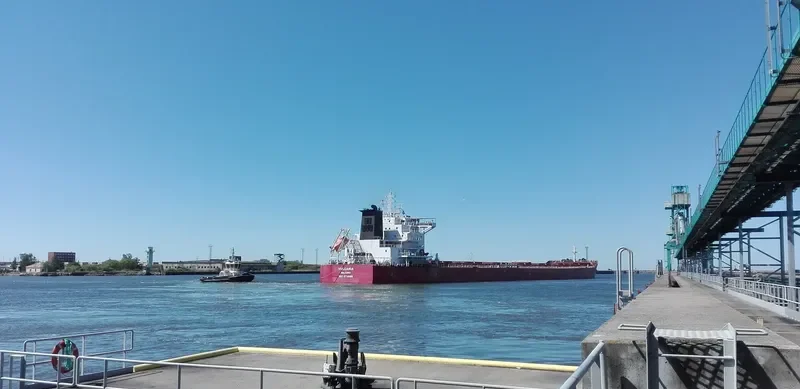 VULCANIA Bulk Carrier IMO 9718686 photo 2