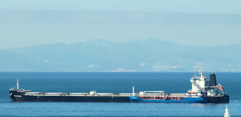 ARSINOE Bulk Carrier IMO 9718739