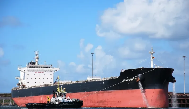 ARSINOE Bulk Carrier IMO 9718739 photo 5