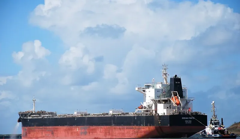 ARSINOE Bulk Carrier IMO 9718739 photo 6