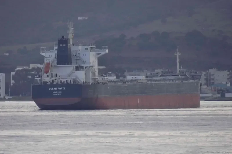 ARSINOE Bulk Carrier IMO 9718739 photo 7