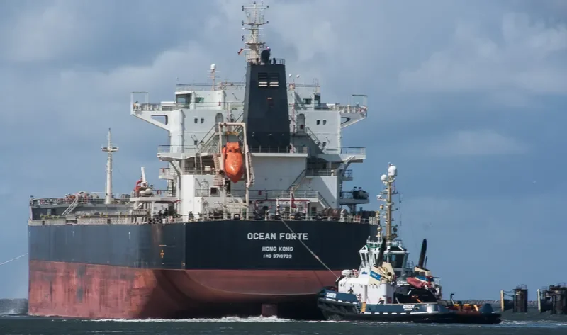 ARSINOE Bulk Carrier IMO 9718739 photo 8