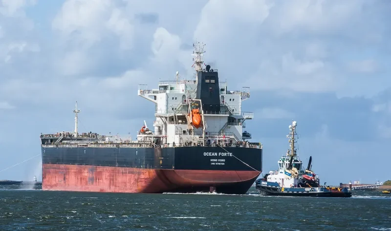 ARSINOE Bulk Carrier IMO 9718739 photo 9