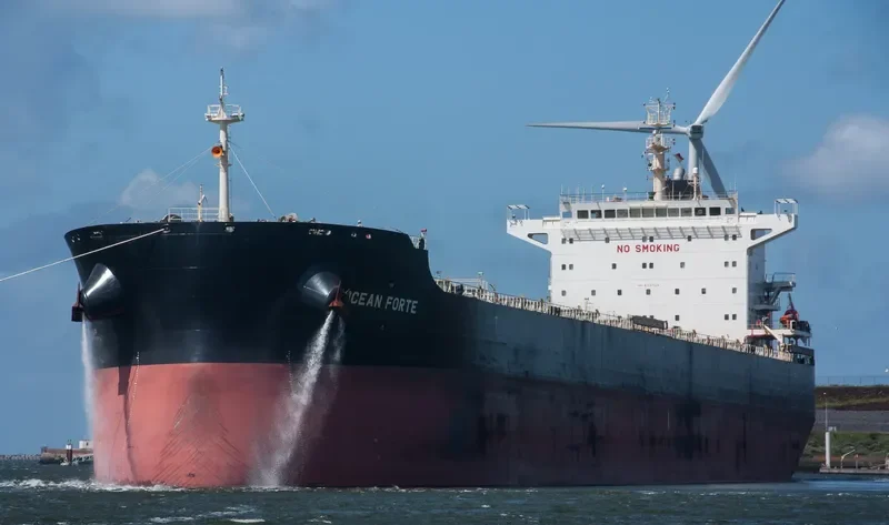 ARSINOE Bulk Carrier IMO 9718739 photo 10