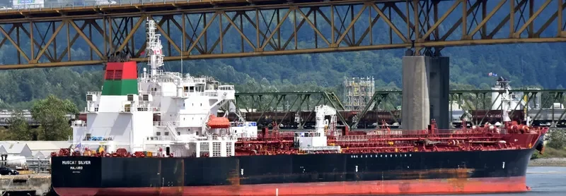 MUSCAT SILVER Tanker IMO 9718741 photo 7