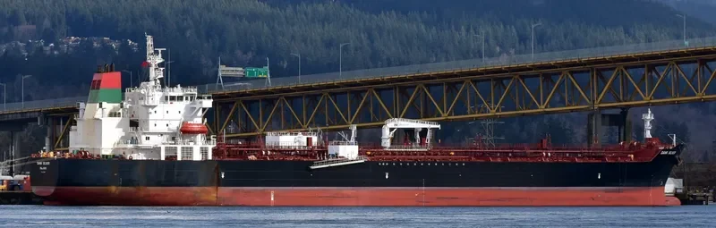 DANK SILVER Tanker IMO 9718806 photo 8