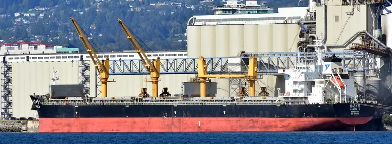 YANGZE 6 Bulk Carrier IMO 9718909