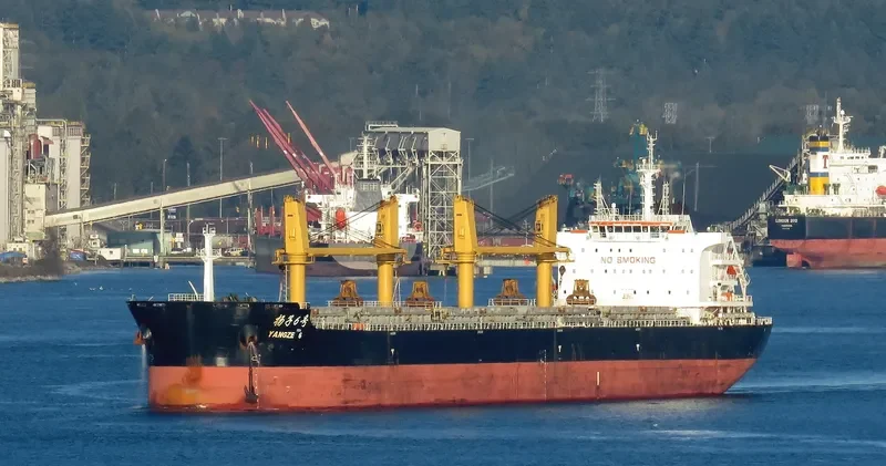 YANGZE 6 Bulk Carrier IMO 9718909 photo 2