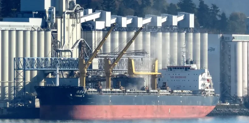 YANGZE 6 Bulk Carrier IMO 9718909 photo 3