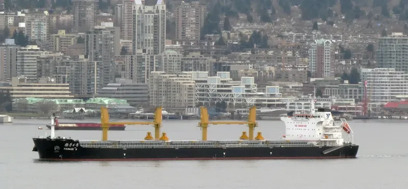 YANGZE 6 Bulk Carrier IMO 9718909 photo 5