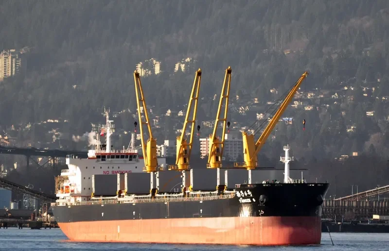 YANGZE 6 Bulk Carrier IMO 9718909 photo 7