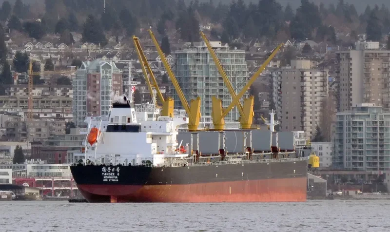 YANGZE 6 Bulk Carrier IMO 9718909 photo 8