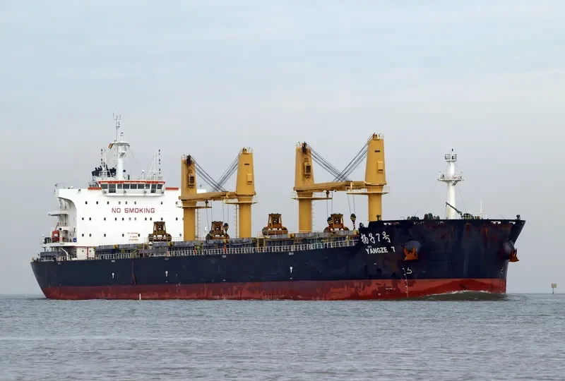 YANGZE 7 Bulk Carrier IMO 9718911