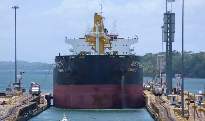 YANGZE 7 Bulk Carrier IMO 9718911 photo 4