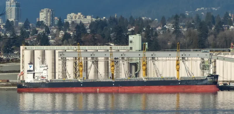 YANGZE 7 Bulk Carrier IMO 9718911 photo 5