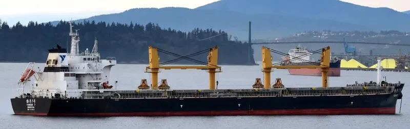 YANGZE 7 Bulk Carrier IMO 9718911 photo 6