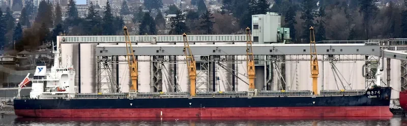 YANGZE 7 Bulk Carrier IMO 9718911 photo 8