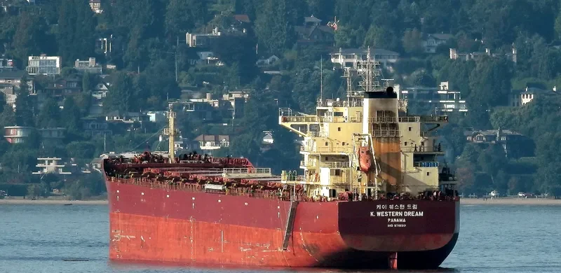 K.WESTERN DREAM Bulk Carrier IMO 9718961 photo 3