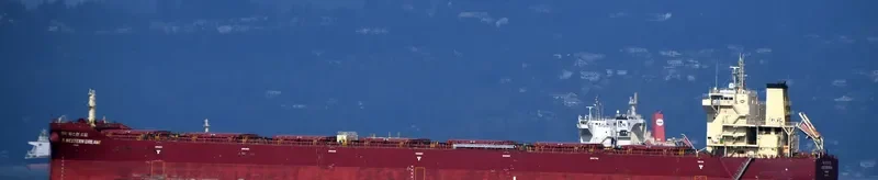 K.WESTERN DREAM Bulk Carrier IMO 9718961 photo 4