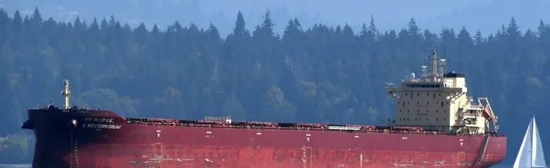 K.WESTERN DREAM Bulk Carrier IMO 9718961 photo 5