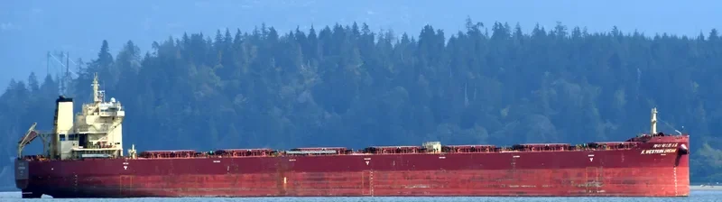 K.WESTERN DREAM Bulk Carrier IMO 9718961 photo 7