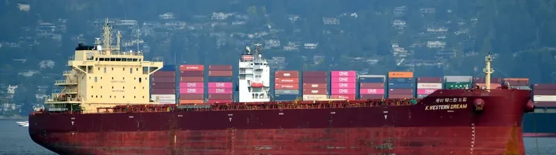 K.WESTERN DREAM Bulk Carrier IMO 9718961 photo 8