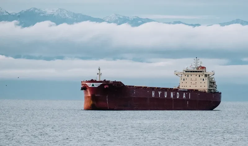 HL LEADER Bulk Carrier IMO 9718973 photo 7