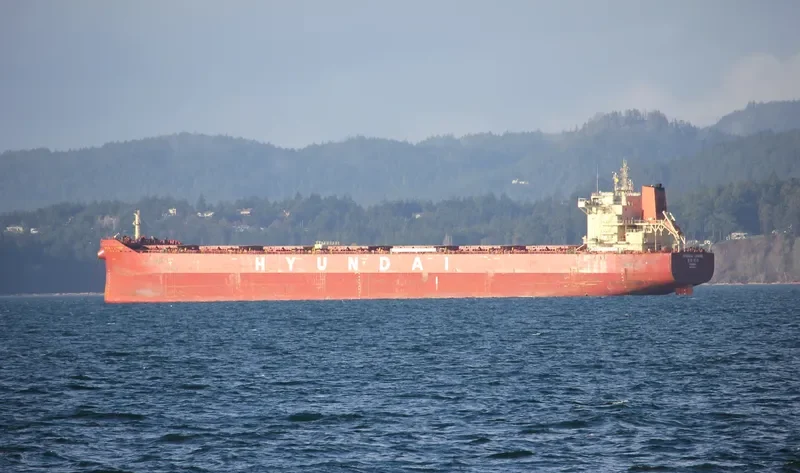 HL LEADER Bulk Carrier IMO 9718973 photo 8