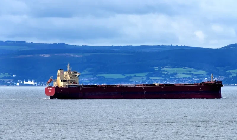 AGRI PRINCESS Bulk Carrier IMO 9718985 photo 2