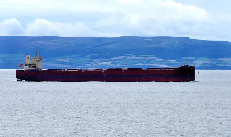 AGRI PRINCESS Bulk Carrier IMO 9718985 photo 3