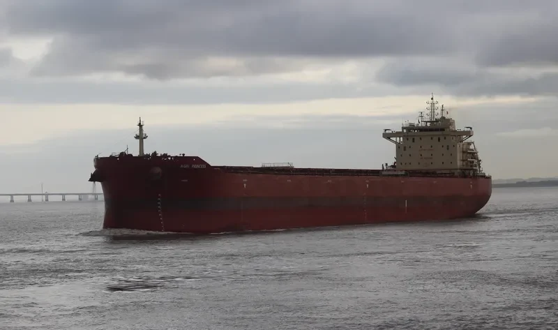 AGRI PRINCESS Bulk Carrier IMO 9718985 photo 4