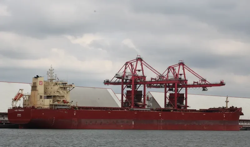 AGRI PRINCESS Bulk Carrier IMO 9718985 photo 5