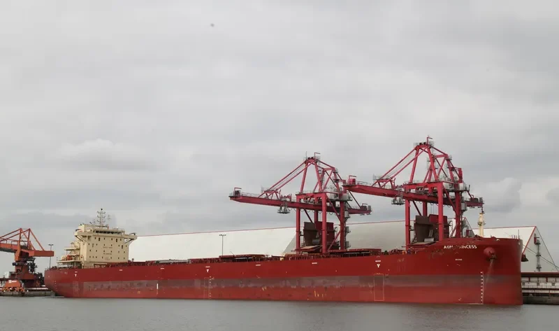 AGRI PRINCESS Bulk Carrier IMO 9718985 photo 6