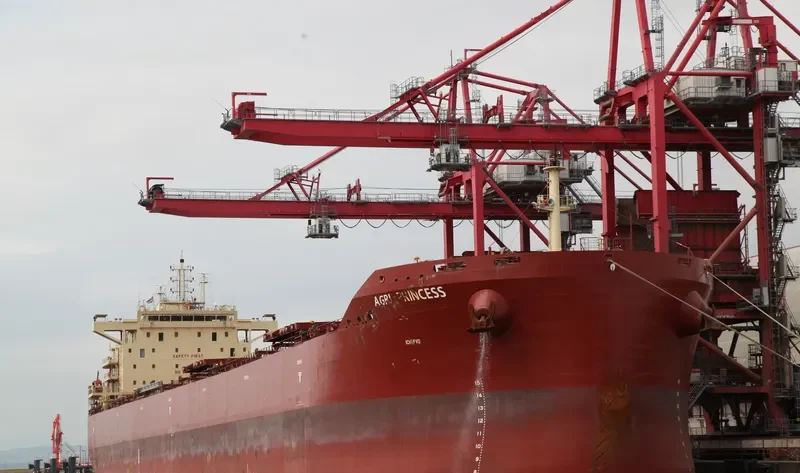 AGRI PRINCESS Bulk Carrier IMO 9718985 photo 7