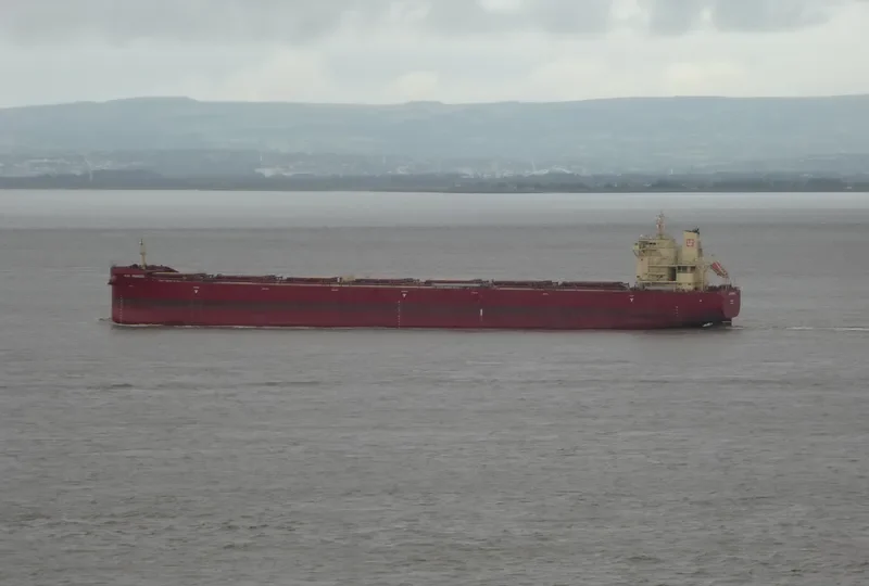 AGRI PRINCESS Bulk Carrier IMO 9718985 photo 8