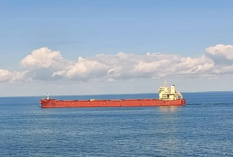 AGRI PRINCESS Bulk Carrier IMO 9718985 photo 9